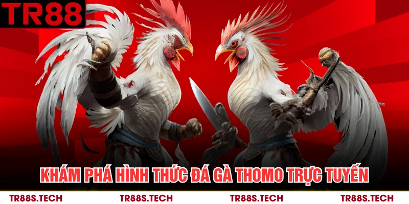 Khám phá hình thức đá gà Thomo trực tuyến 