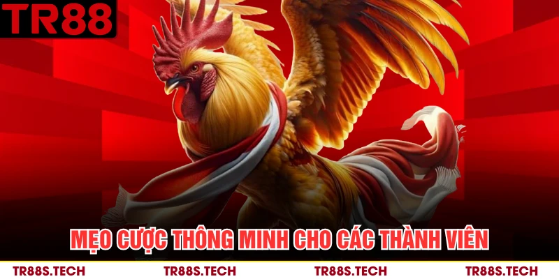 Mẹo cược thông minh cho các thành viên