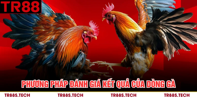 Phương pháp đánh giá kết quả của dòng gà