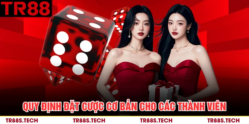 Quy định đặt cược cơ bản cho các thành viên