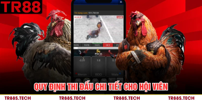 Quy định thi đấu chi tiết cho hội viên