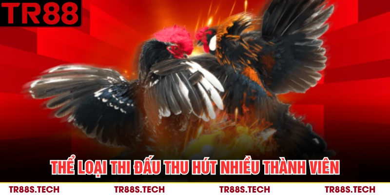 Thể loại thi đấu thu hút nhiều thành viên