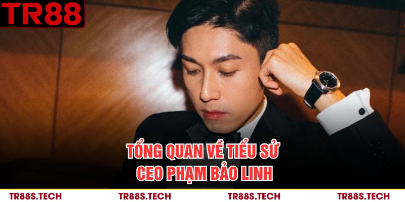Tổng quan về tiểu sử CEO Phạm Bảo Linh